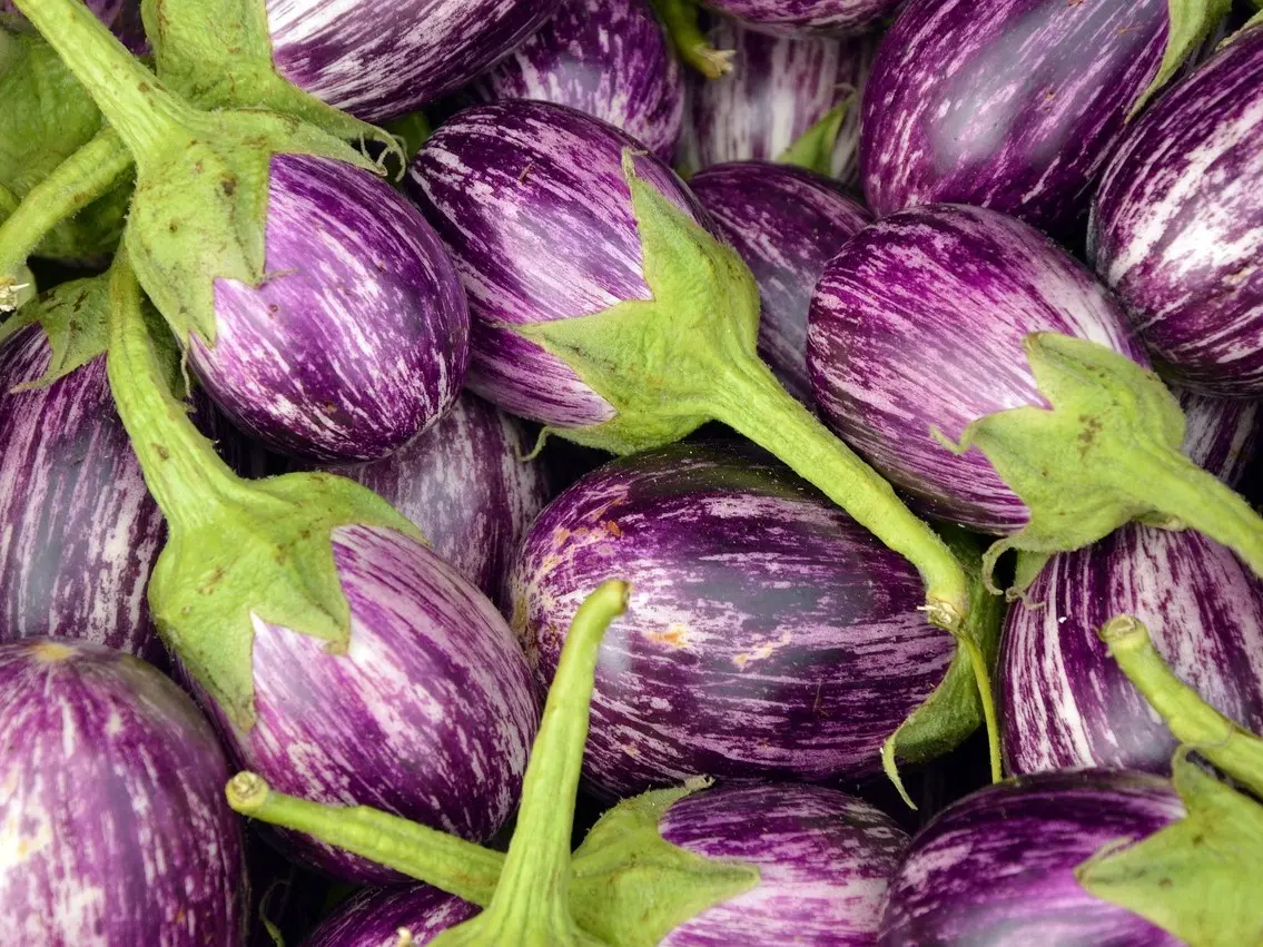 eggplant-3758698_1280