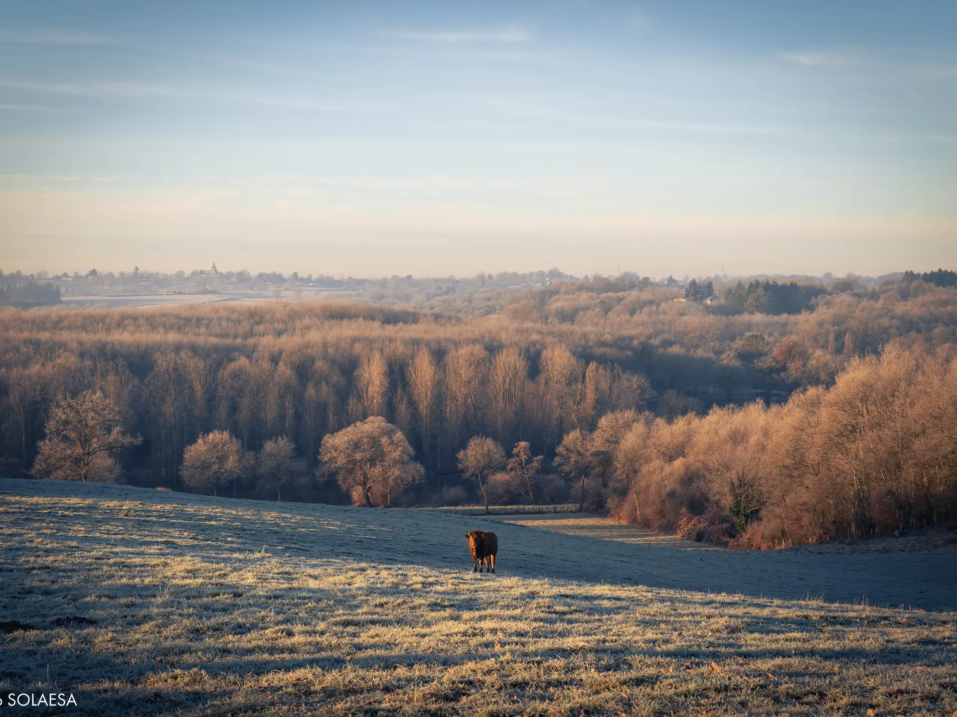 rencontresphotographiqueslimousin