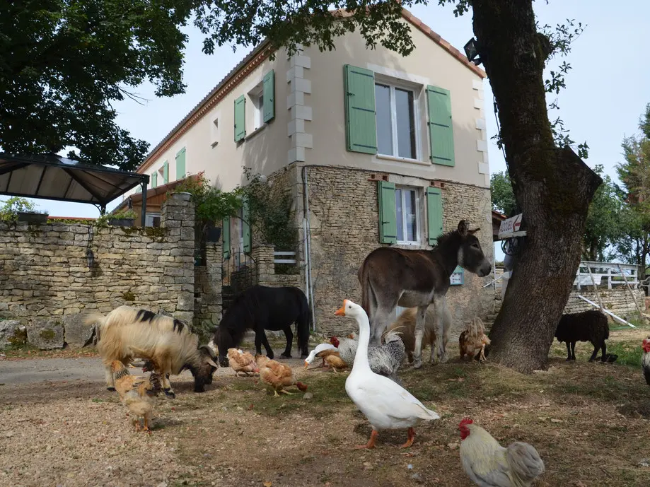 la-ferme-des-vergnes