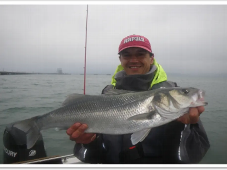 Bretagne Esprit Peche - La Trinite sur Mer - Morbihan Bretagne Sud