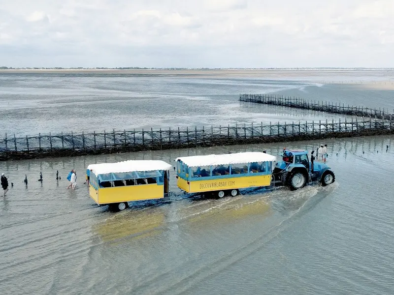 train marin filière affaire