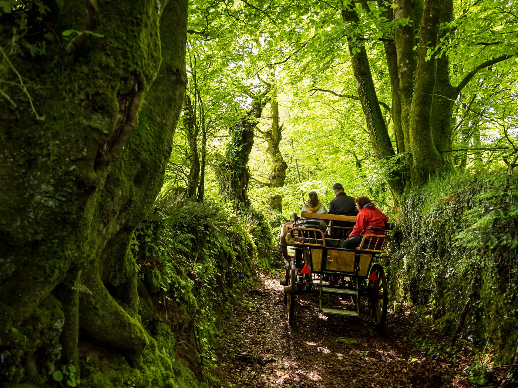 Attelage2021-1442©Emmanuel_Berthier