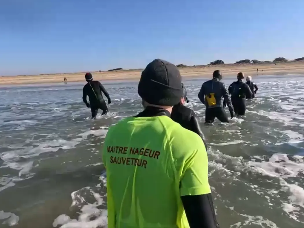 Brech-Activités Aquatiques Pays d'Auray-Longe côte