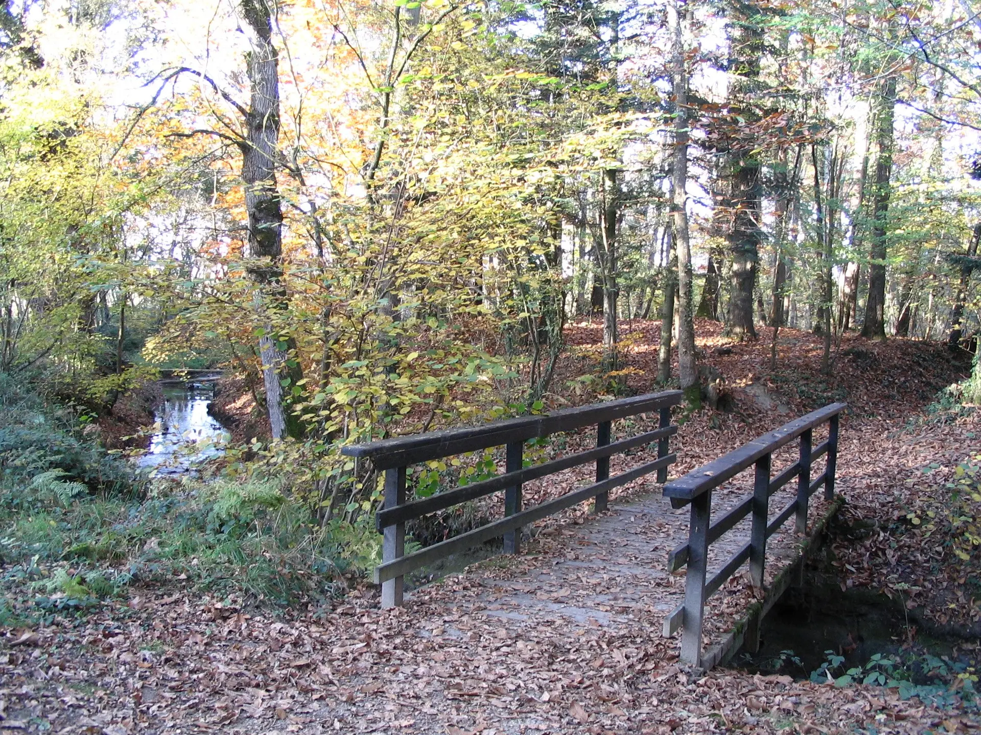 Autour du Lac Tranquille