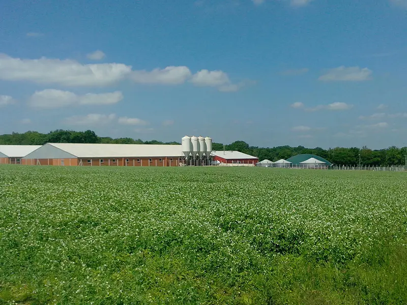 La ferme de Sensie - ST-Nicolas du Tertre - Producteur locaux