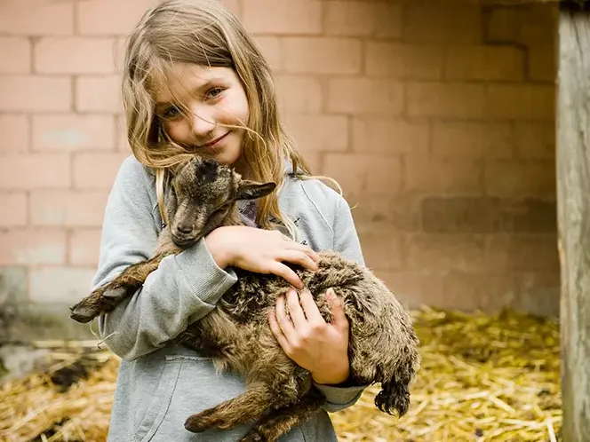 Recreaferme_Cleguerec