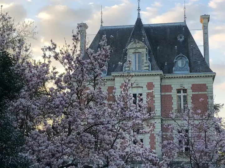 Château_JustineMorales