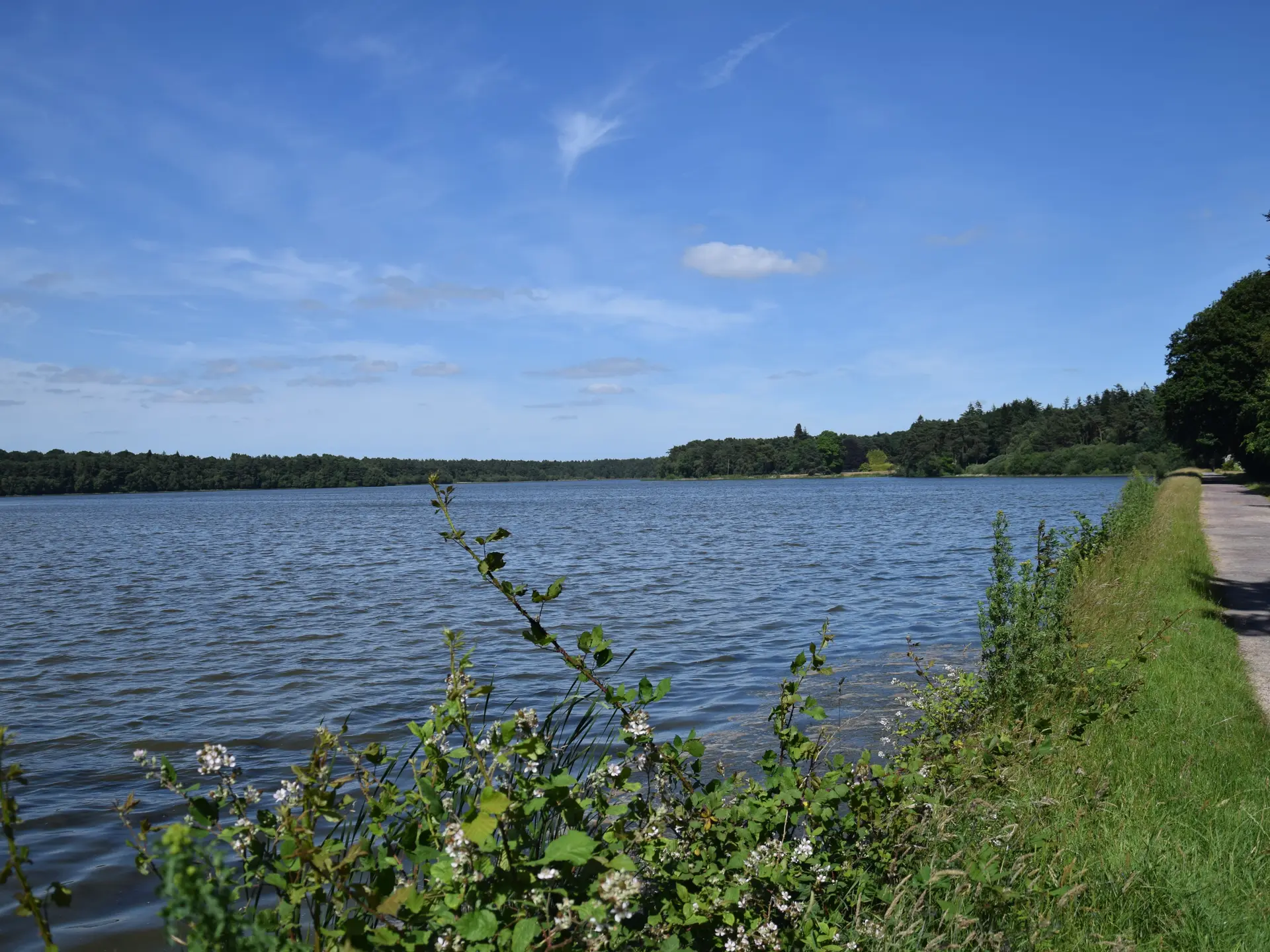 Etang du Pas du Houx