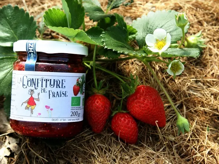 Jardin-Jardine-paysan cuisinier-Confiture de Fraise Bio_Morbihan 56