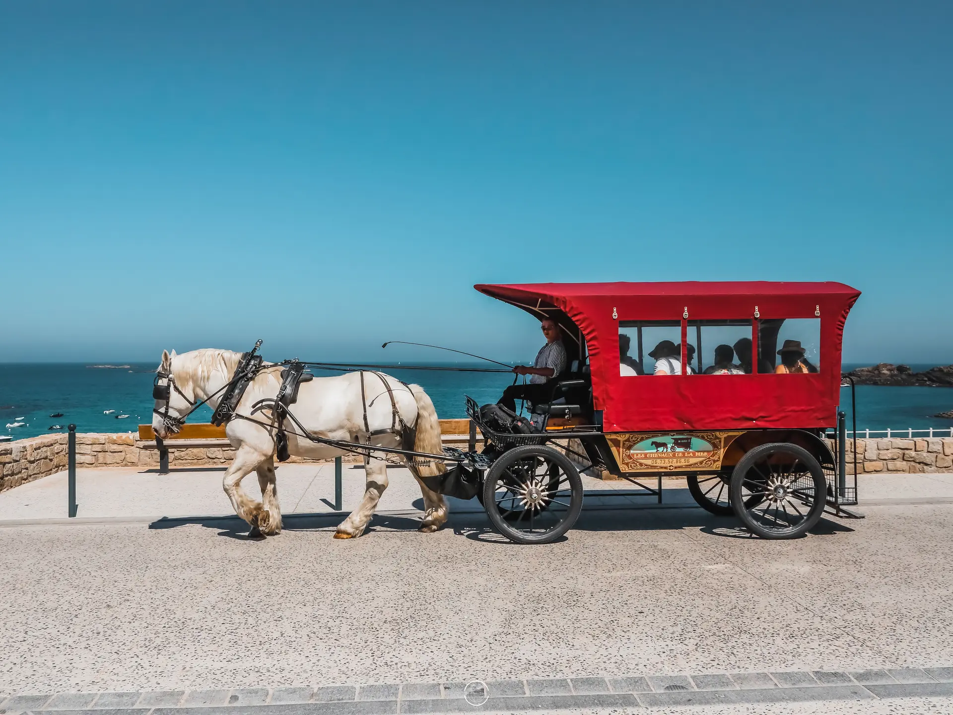Les Chevaux de la mer