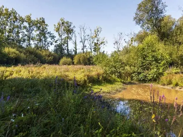 Les Prairies d'Olivet