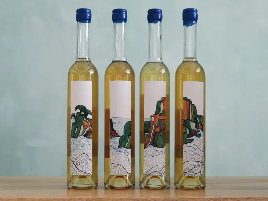 Les Voiles Cap-Sizun