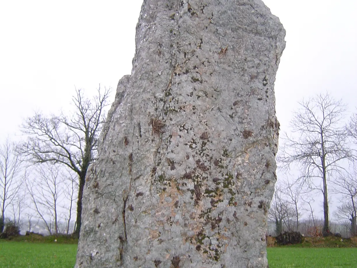 Menhir de la Pierre Blanche Pocé-les-Bois
