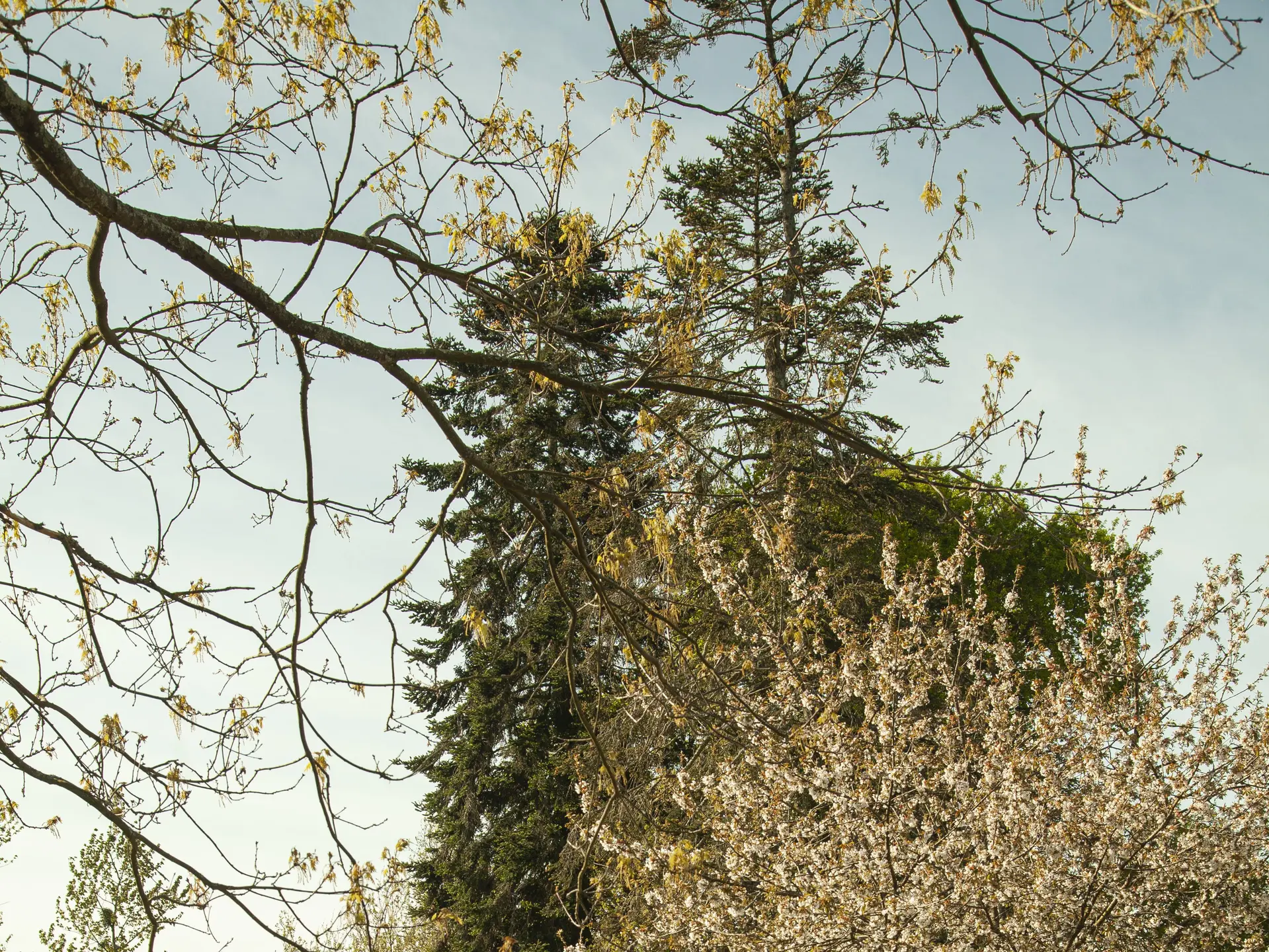 Photo camping la morinais