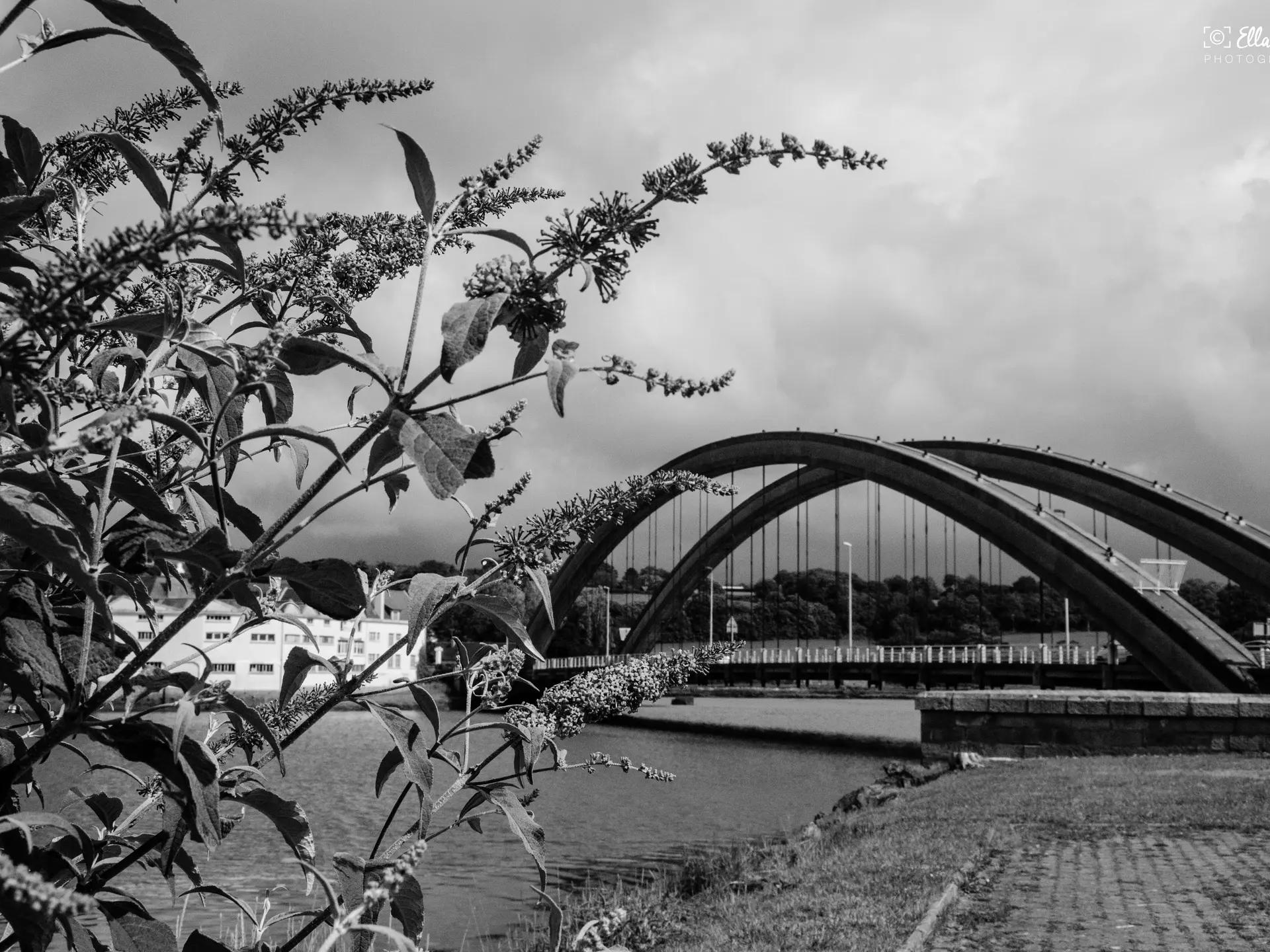 Pont Canada