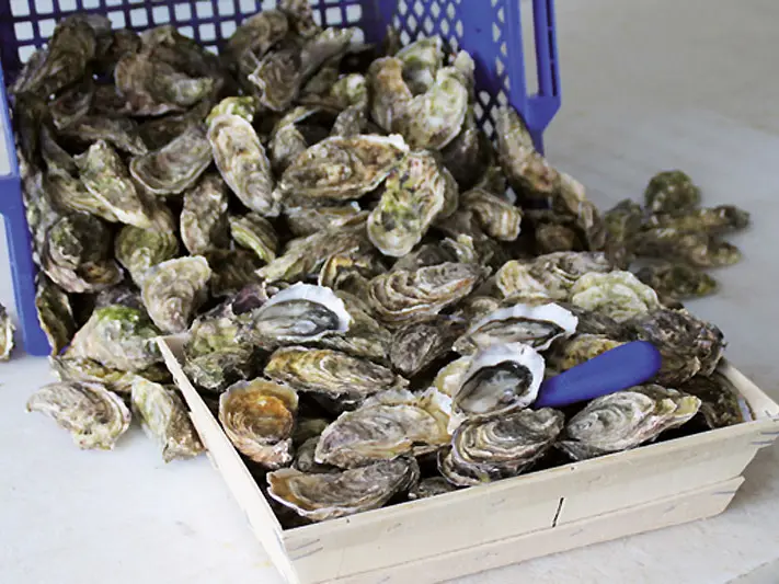 ARIN - Ferme marine paimpolaise