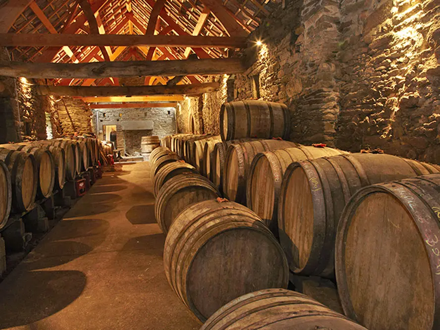 Cidres Domaine de Kerveguen