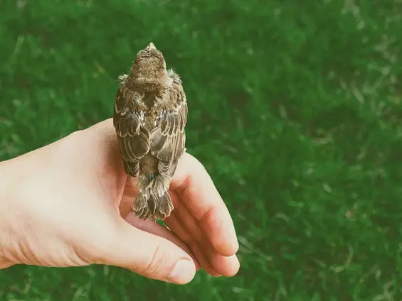 Viarmonie yoga dinard bretagne2