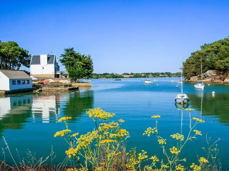 Ets-Gouguec-Producteur-Larmor Baden-Golfe-du-Morbihan-Bretagne sud-01