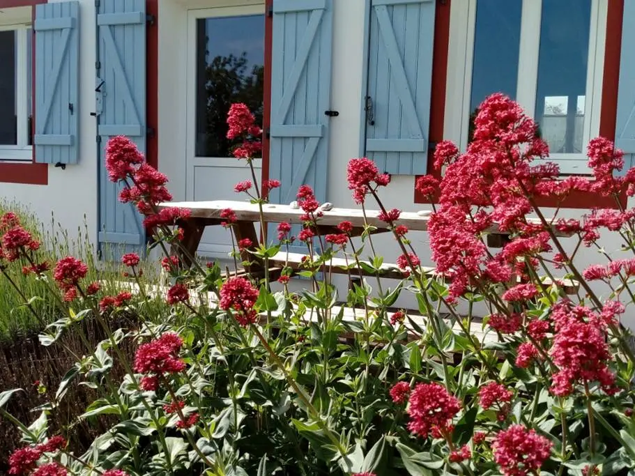 Maison Andro - Locmaria - Morbihan Bretagne Sud