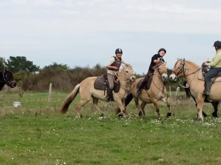 Centre-Equestre-Sentiers-du-Riellec-Sarzeau-Presqu'île-de-Rhuys-Golfe-du-Morbihan-Bretagne sud
