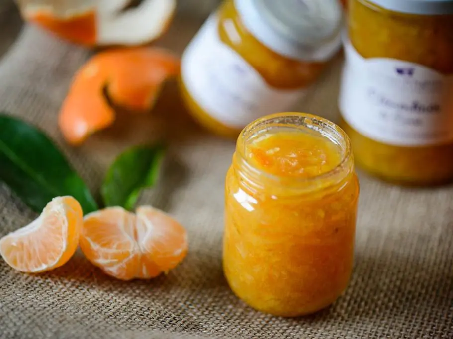 La Cour d'Orgères-Quiberon-Morbihan-Bretagne Sud