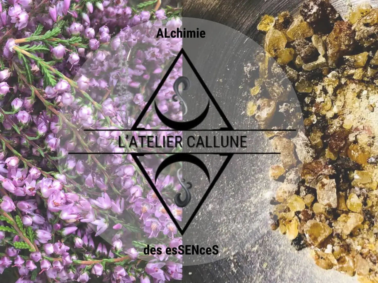 Visite de l'Atelier et de sa boutique