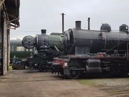 Train à Vapeur