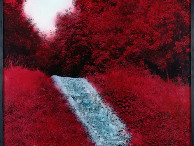 Martine ABALLÉA, Visitez le Pays des Fleurs Flambantes,1988.