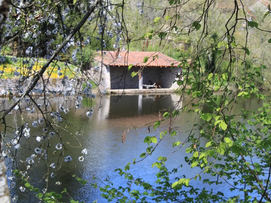 petit lavoir