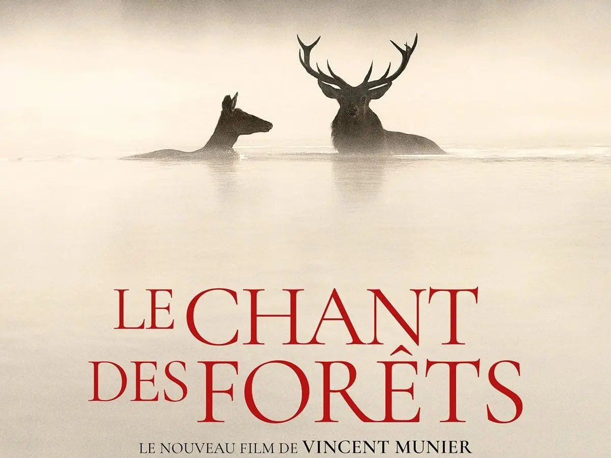 Cinéma - Le chant des forêts