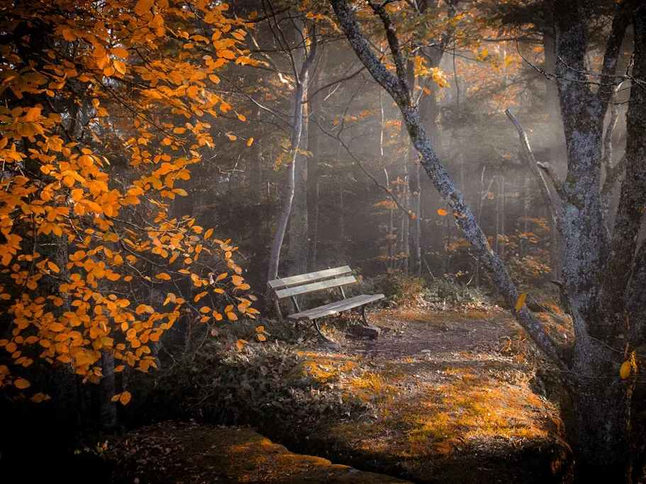 Exposition Laetitia Larquier