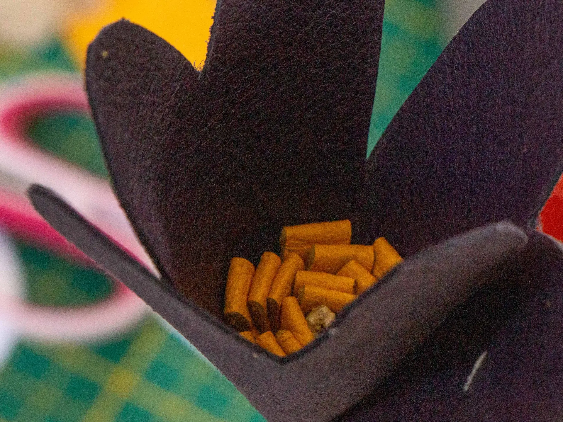 Atelier : A fleur de peau