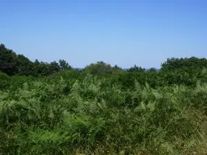 Circuit de la Montjoie à Blond 87_2