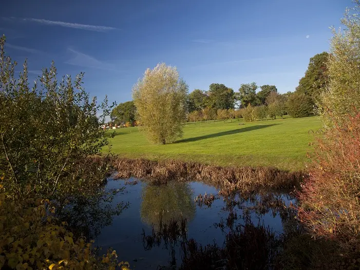 Parc des Essarts_1