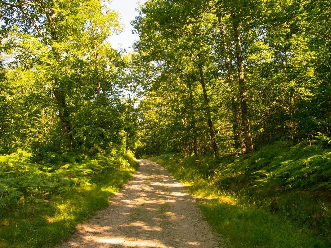 Sentier de la croix du loup_1
