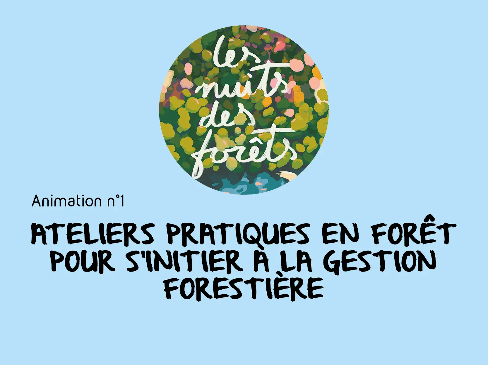 20250614_INT_NEDDE_Nuits des Forets_AnimationDiv_Anim1_forêt générale