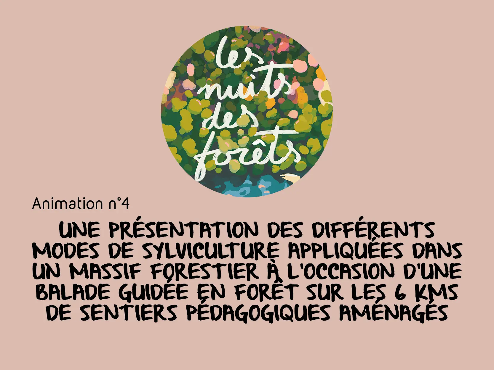 20250614_INT_NEDDE_Nuits des Forets_AnimationDiv_Anim4_sylviulture