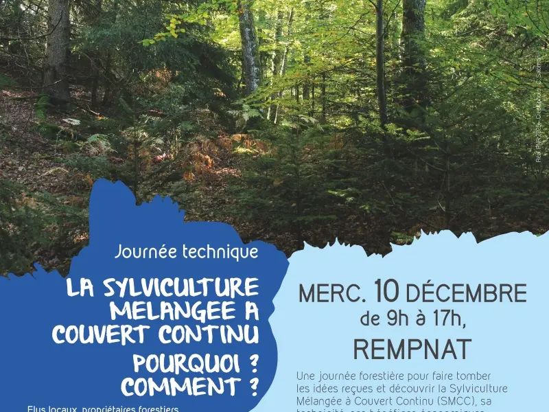 20251210_Animation_SMCC_web