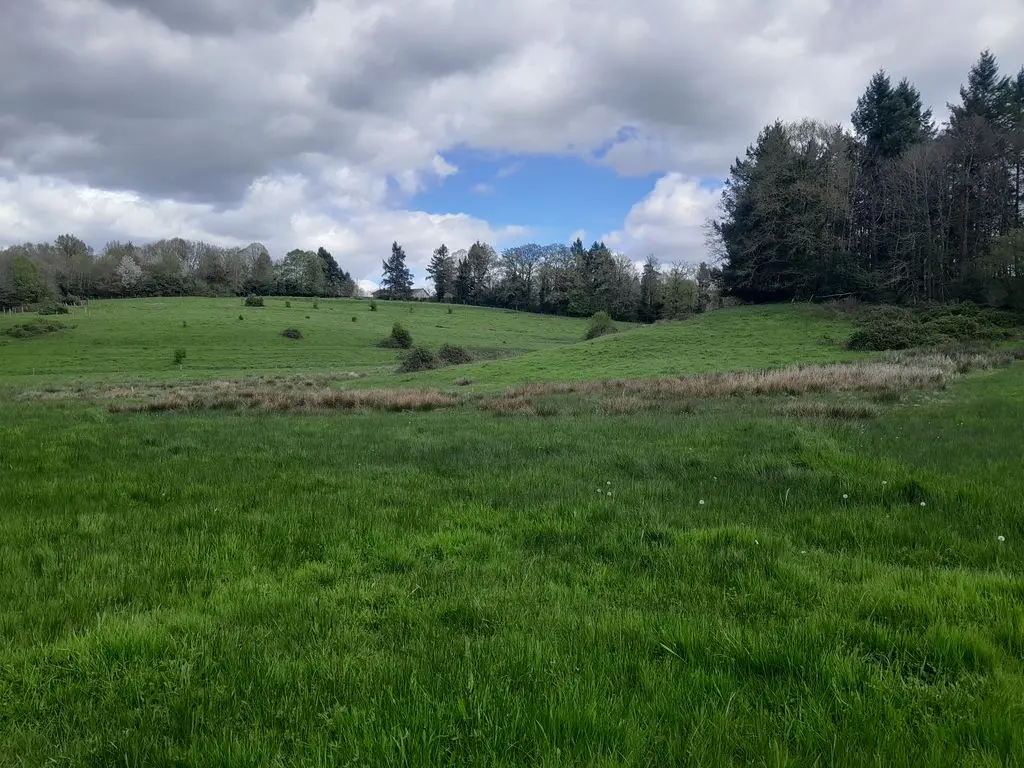 24_Prairie humide ©PNRPL