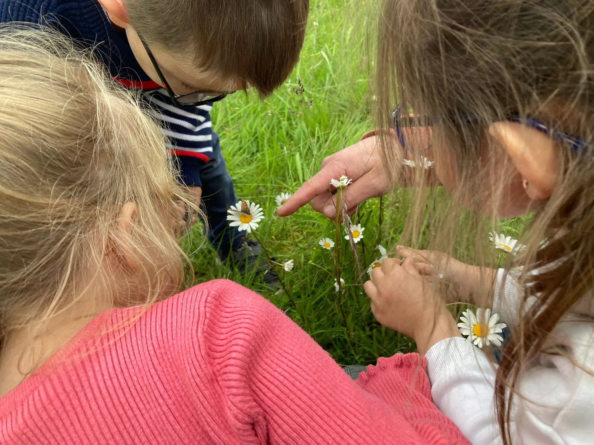 31_Observons les insectes@pnrpl