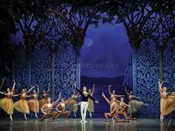 téléchargement (1)