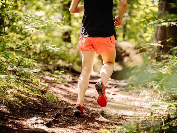 trail-g8a071e52d_640