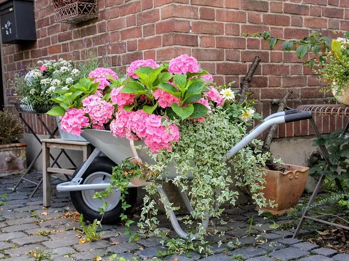 Vide Jardin