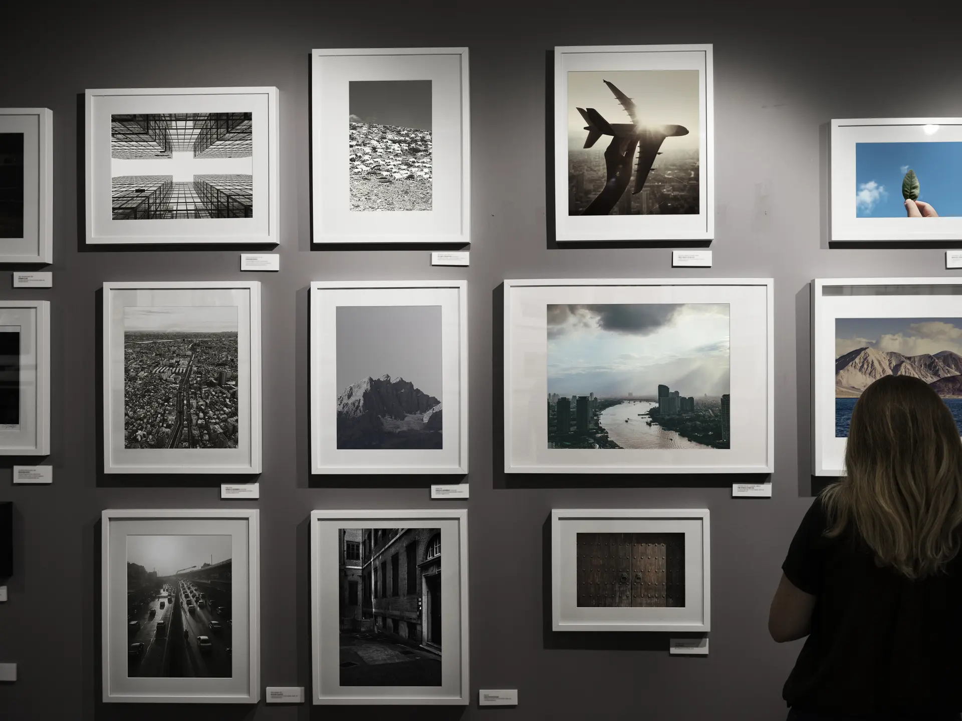 Expo photos Entre glace et plume