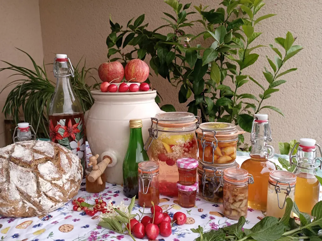 Ateliers fermentation et probiotiques