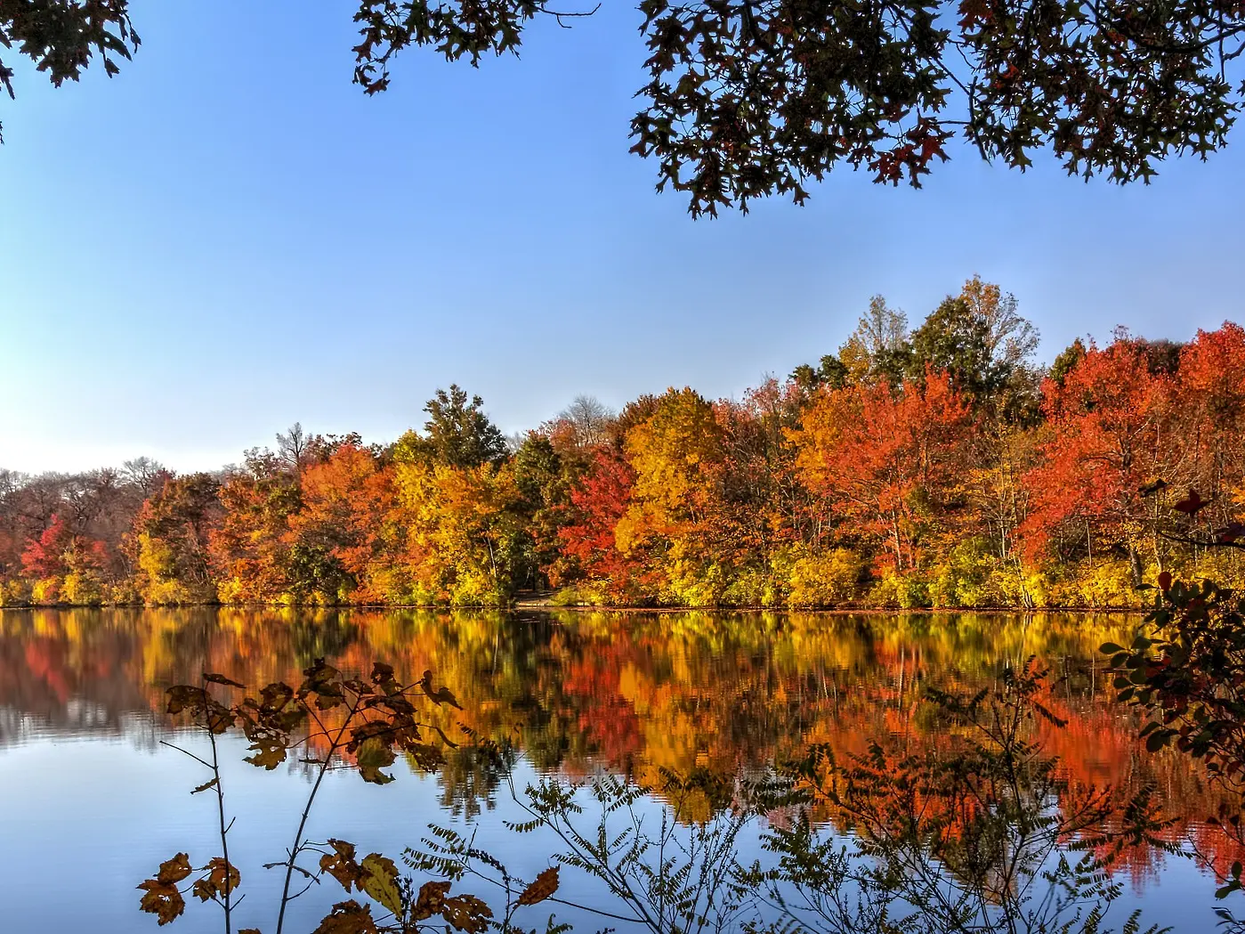 Automne