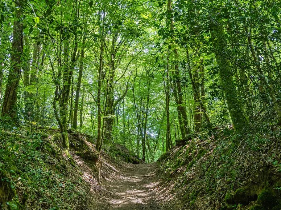 COMPREIGNAC Chemin petits ruisseaux