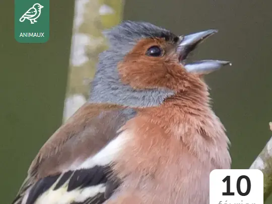 Capture d'écran 2025-12-08 143729