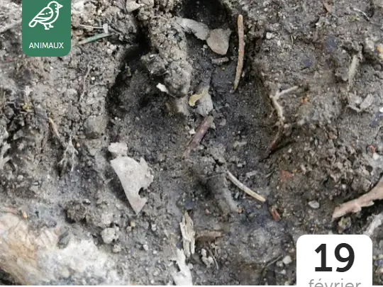 Capture d'écran 2025-12-08 150330